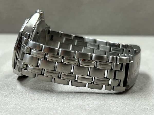 Omega Seamaster Diver 300M Professional 8