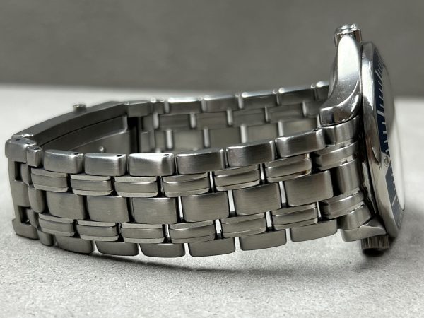 Omega Seamaster Diver 300M Professional 9