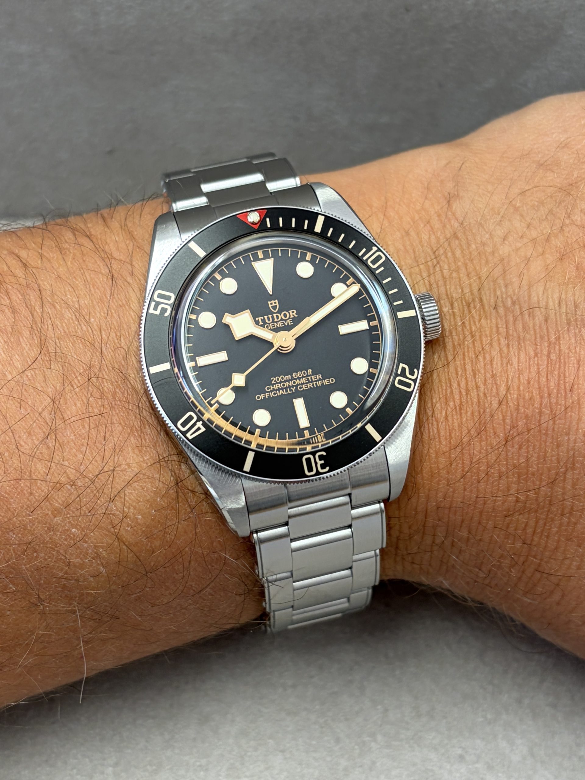 Tudor Black Bay 58 13