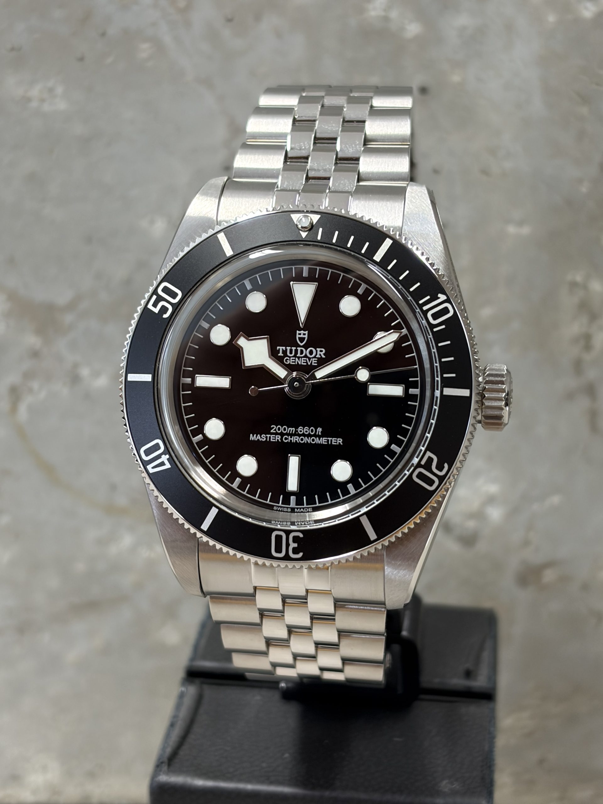 Tudor BLACK BAY Monochrome