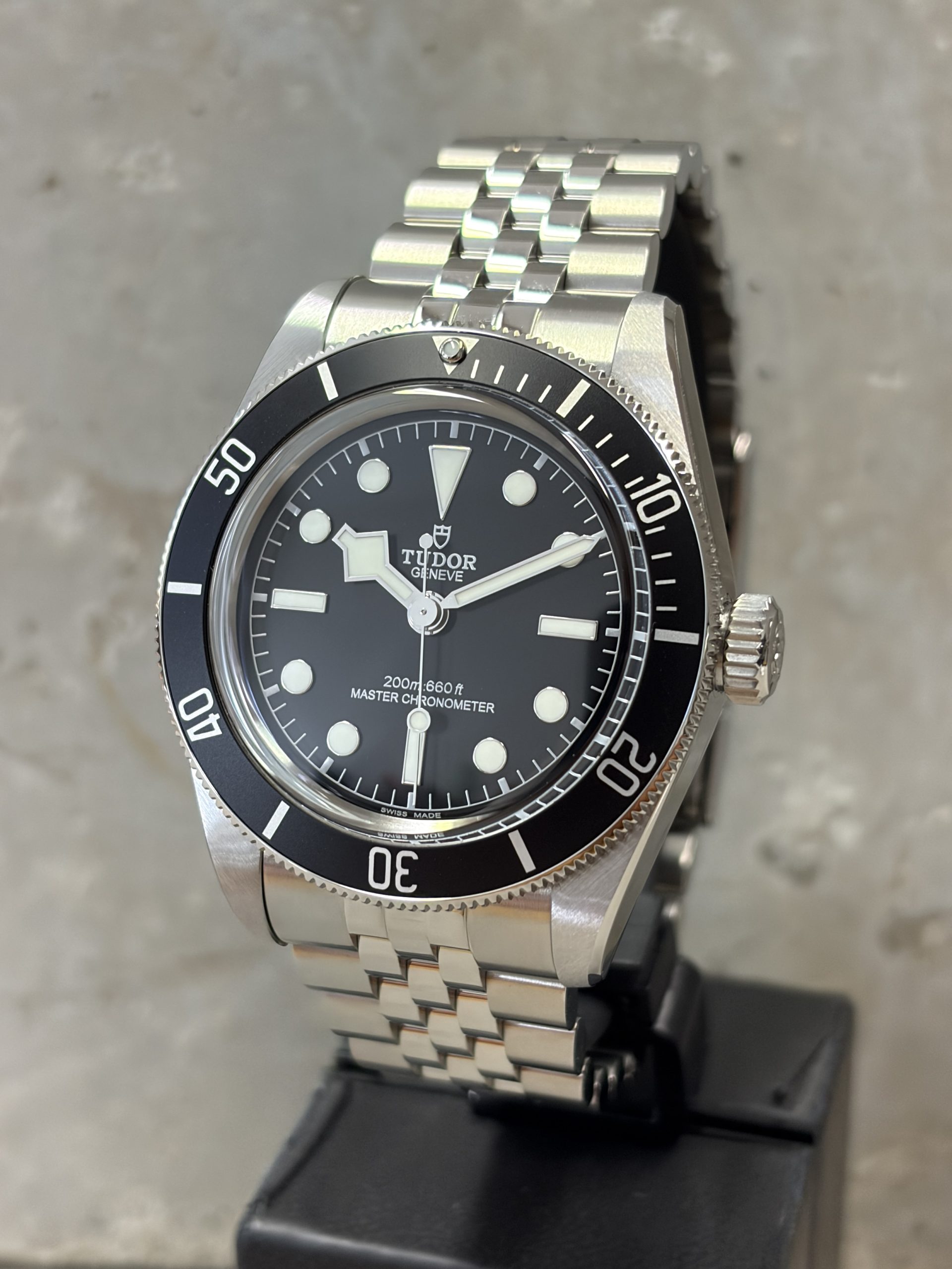 Tudor BLACK BAY Monochrome 2