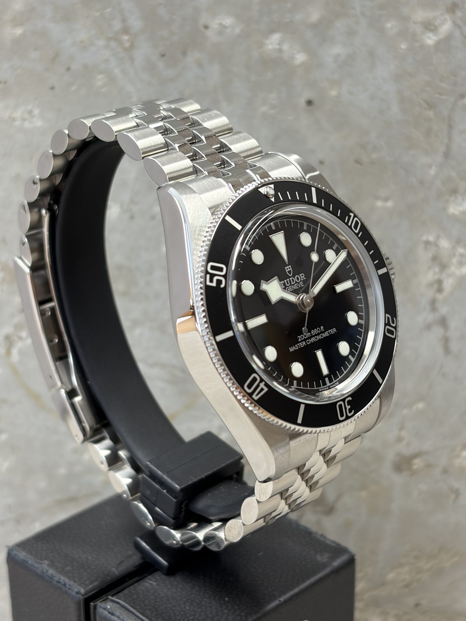 Tudor BLACK BAY Monochrome 4